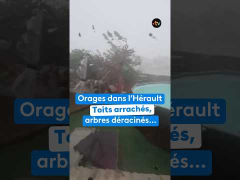 Image Youtube